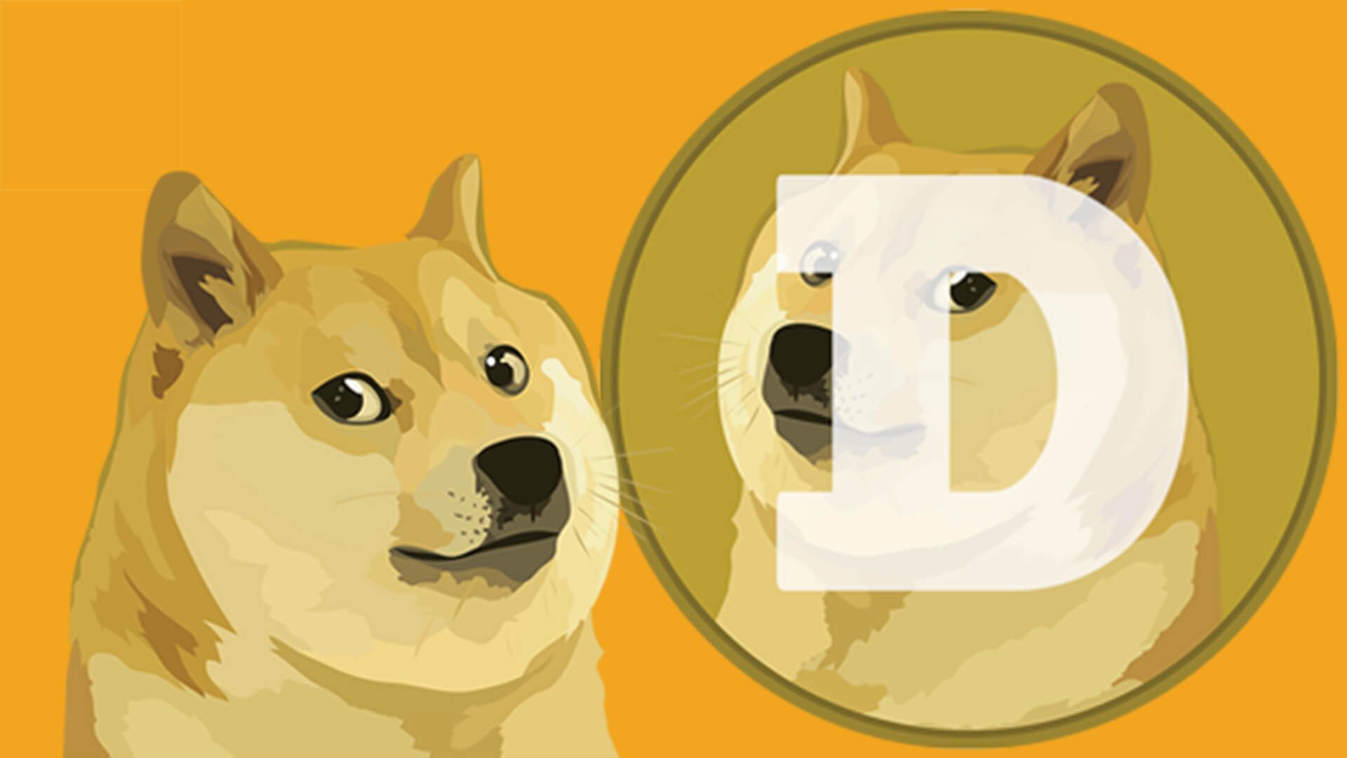 What is the best Dogecoin wallet?