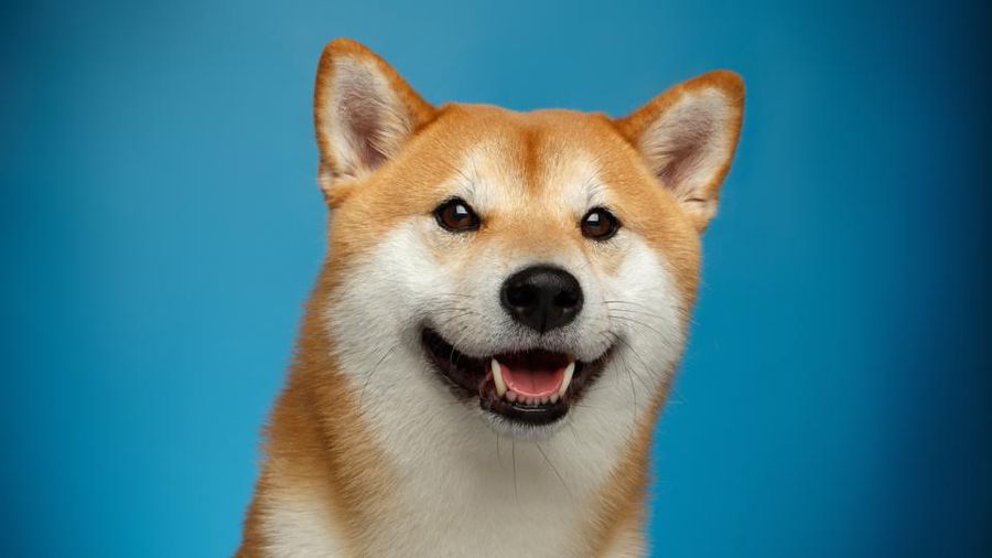 What is Dogecoin