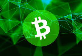 How Does Bitcoin Cash Work?