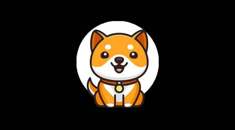 What is Baby Doge Coin (BABYDOGE)