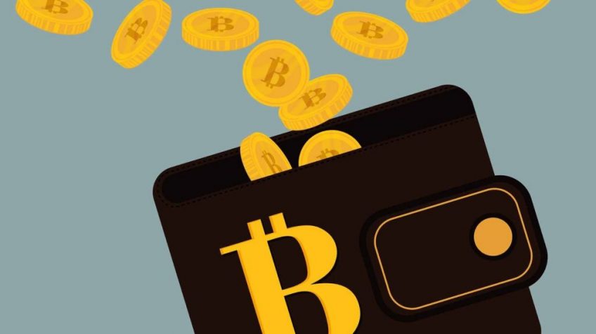 What is A Bitcoin Wallet?