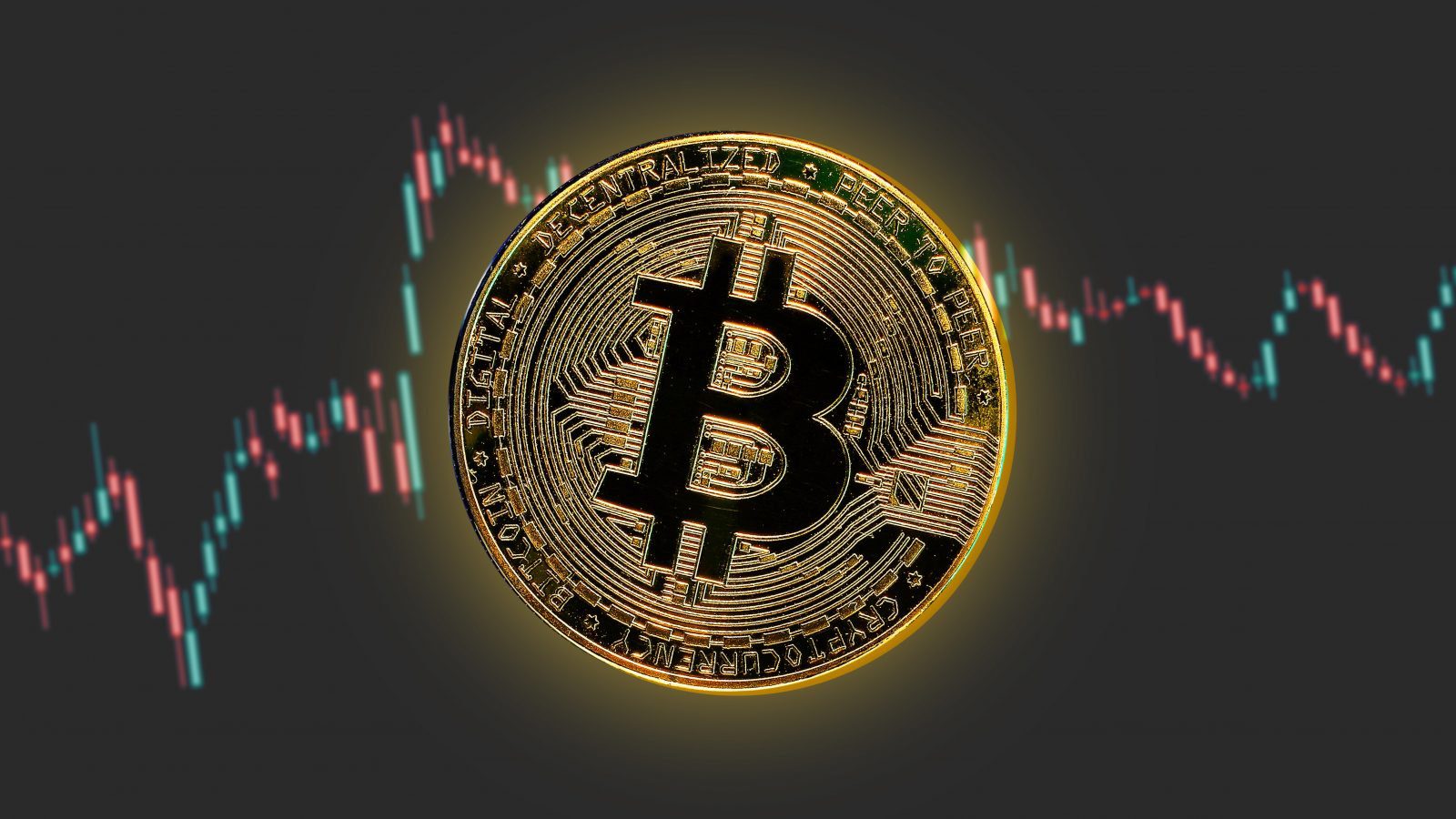 I Bought Bitcoin, Now What?