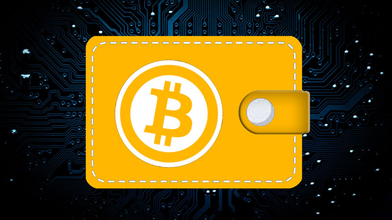 How to Choose a Cryptocurrency Wallet?