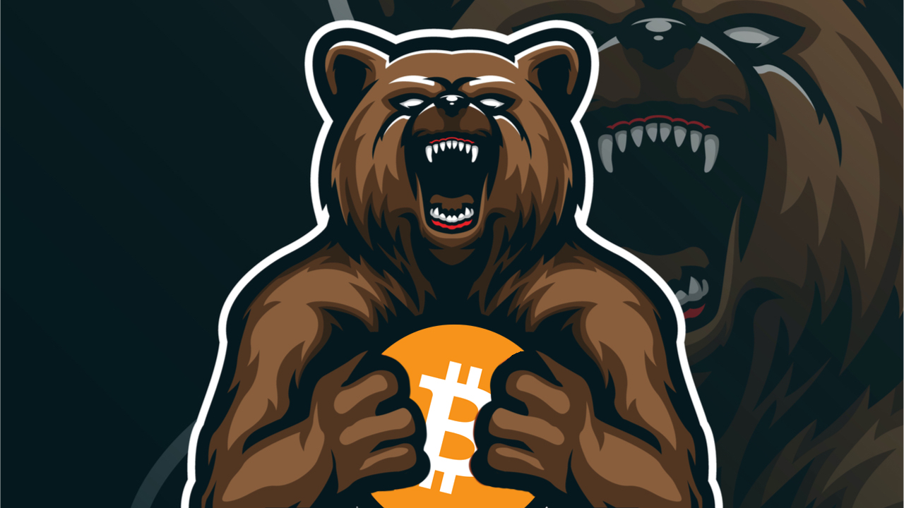 Crypto Bear Market Opportunities: Make the Most of a Crypto Downturn