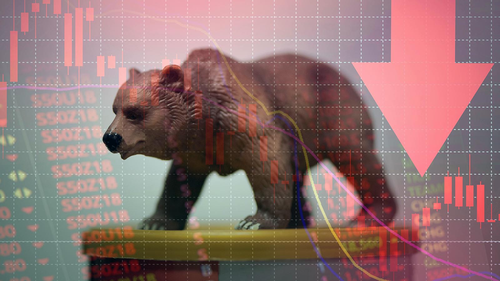How To Turn The Crypto Bear Market into a Life-Changing Opportunity