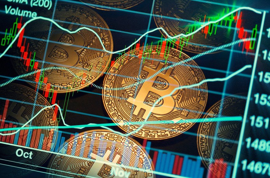 5 Main Types of Crypto Users