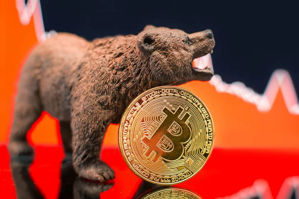 How To Win in the Bear Market