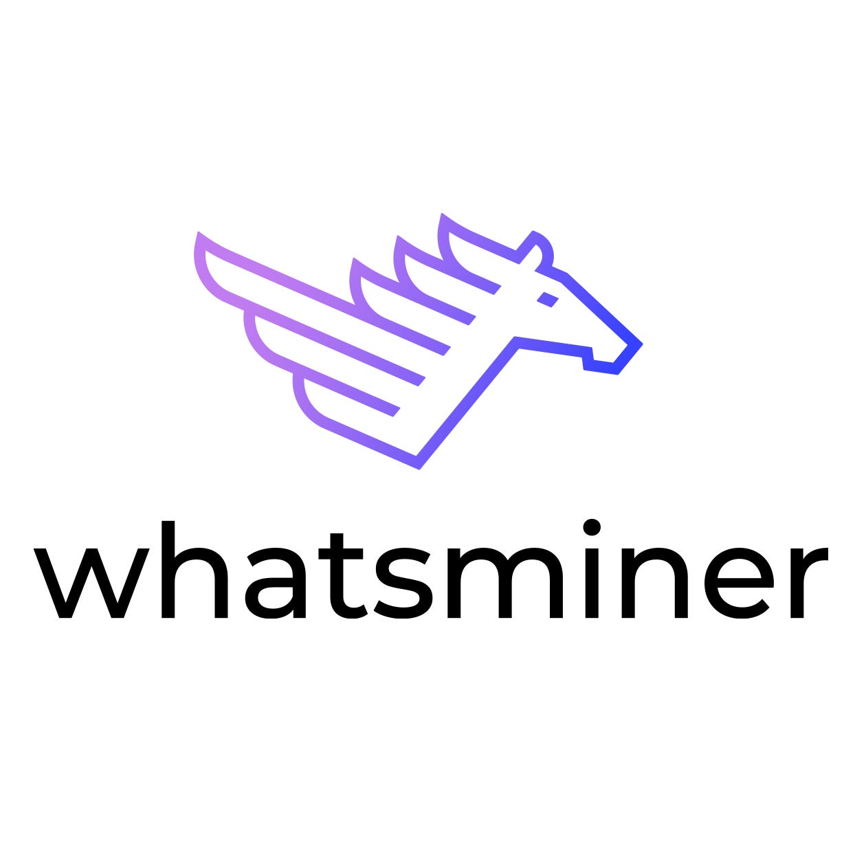 WhatsminerTool: Setup Guide