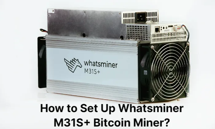 How To Set Up Whatsminer M31S+
