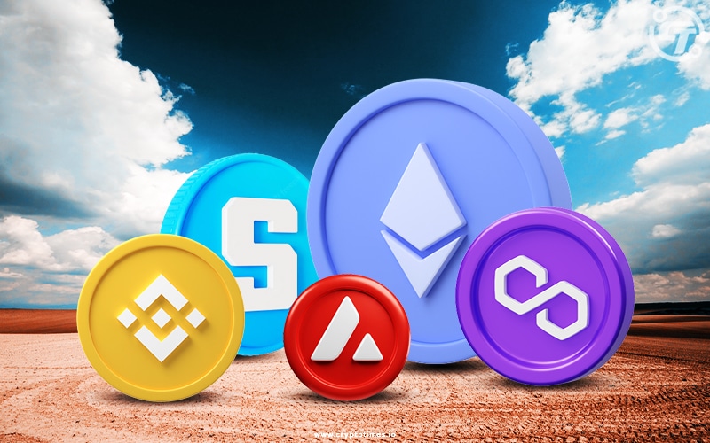 What Are Altcoins?