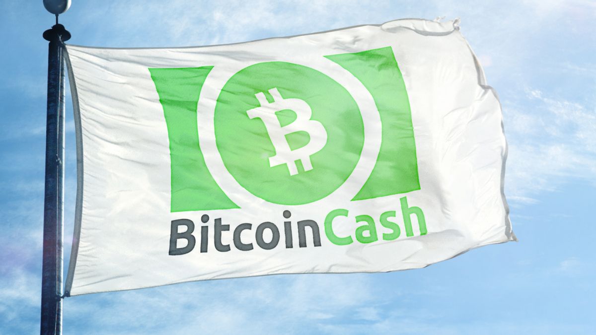 Who has the most Bitcoin Cash?