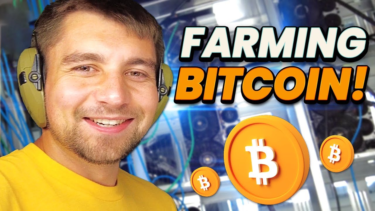 What It’s Like Running My Own Bitcoin Mining Farm