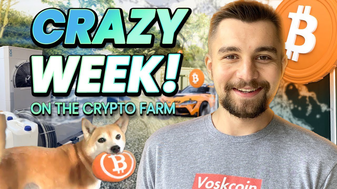 CRAZY WEEK at the VoskCoin Mining Farm