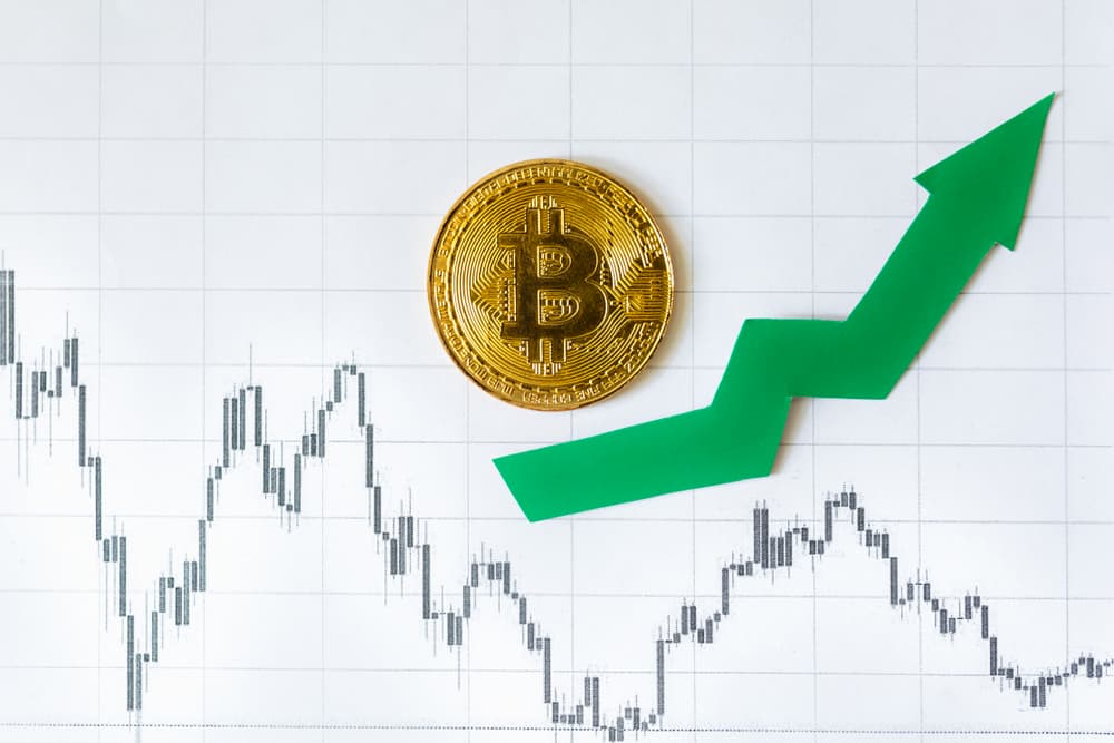 Unveiling the Bitcoin Price Trends: Analyzing the Historical Bitcoin Fractal Crash Below $20,000