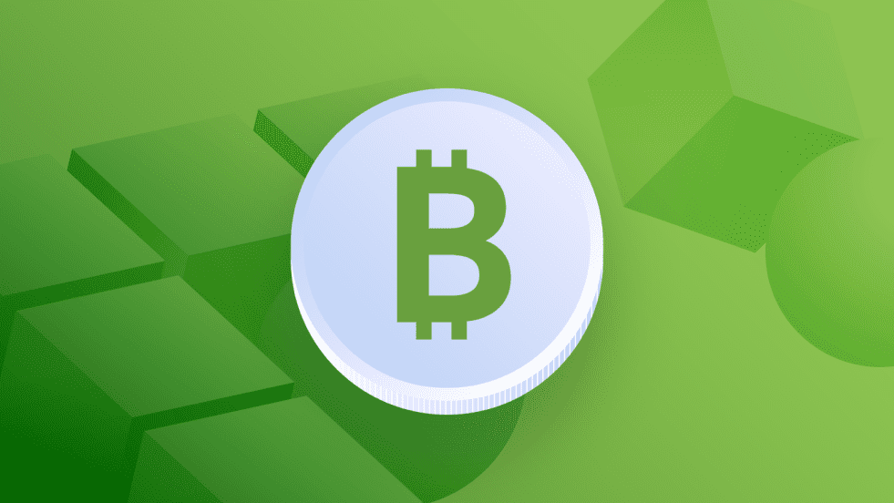 Unraveling the Phenomenon of Bitcoin Cash: A 13% Price Rally Fueled by Surging Demand