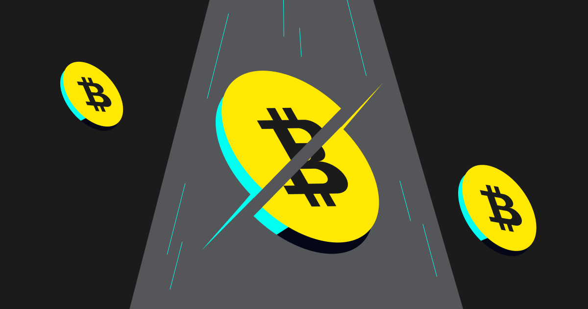7 Best crypto Services to Use After Bitcoin Halving Event in 2024