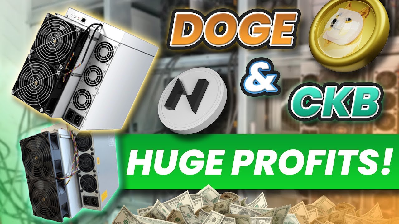 How Much I am Earning Mining Dogecoin and Nervos CKB in 2024!