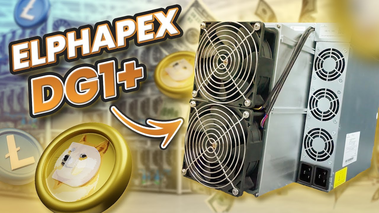 New BEST Dogecoin Miner for 2024 – Elphapex DG 1 PLUS Review & Profits!