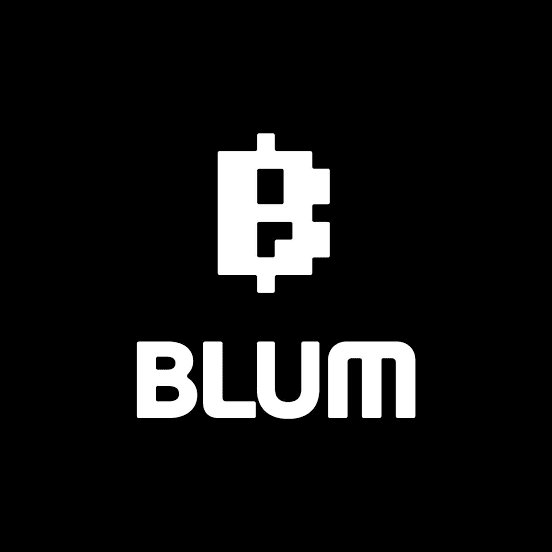 Blum Crypto Project Set To Launch October