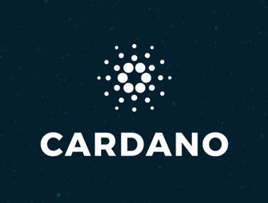 Cardano News Today, August 19 2024