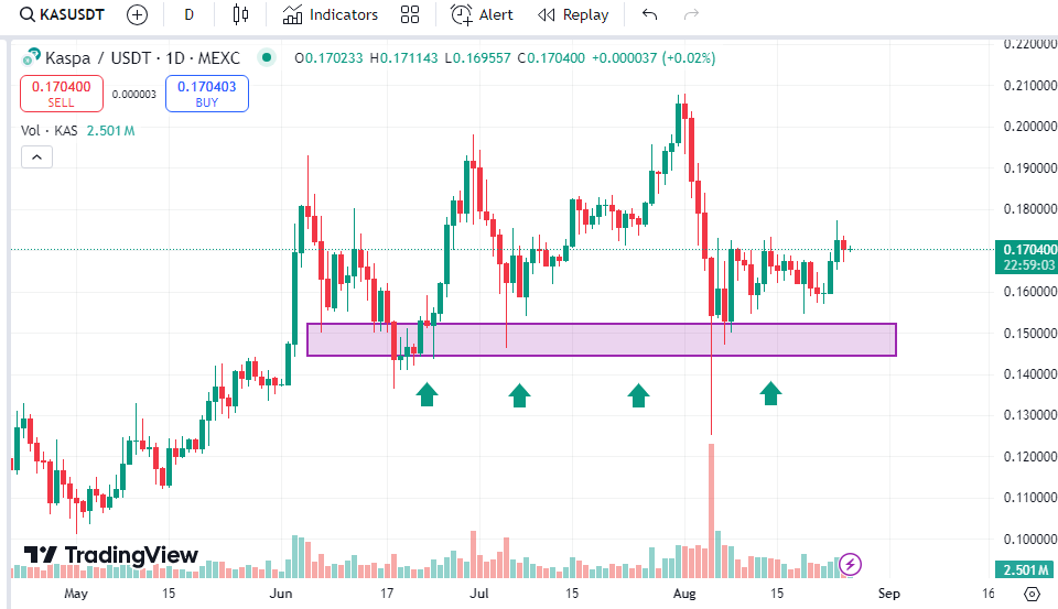 Kaspa Price Prediction 2024