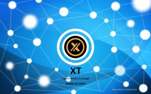 XT Exchange Review