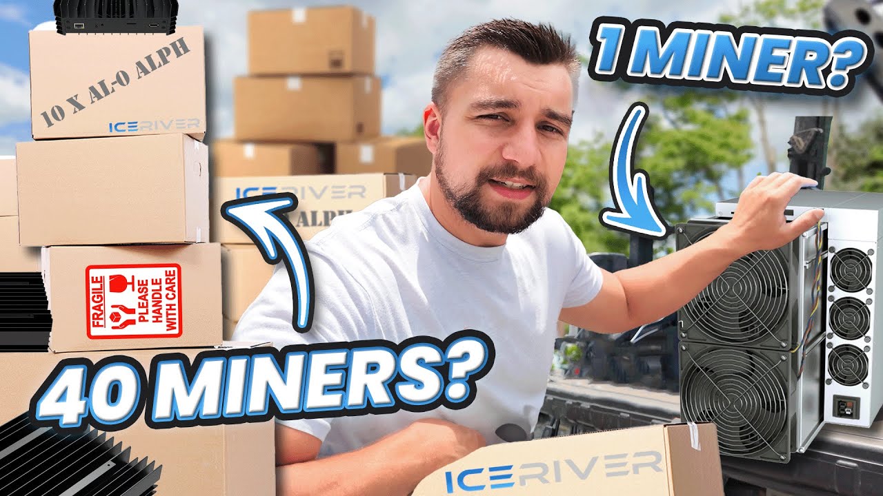 Earn $620 or $28 or $14 DAILY — HOW?? AL1 Vs AL Boxes