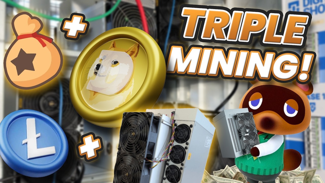 New Mineable Coin Producing $250k DAILY?! How To Mine Bellscoin BEL with Dogecoin and Litecoin!