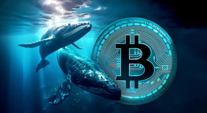 Bitcoin Whales Accumulate: Could $100K Be the Next Price Target?