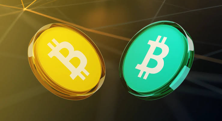 Bitcoin Cash Halving vs. Bitcoin Halving: What’s the Difference?