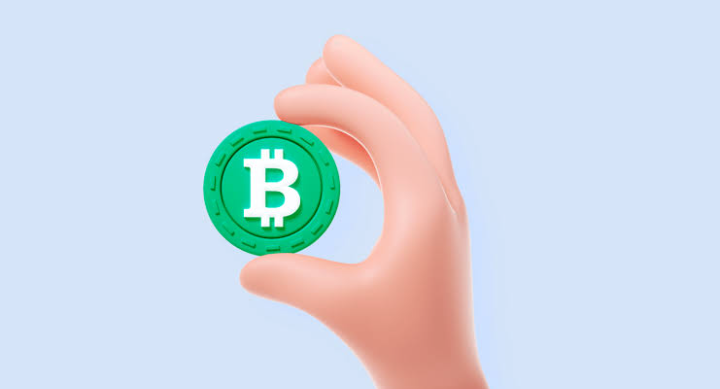 Trading Guide for Bitcoin Cash (BCH) on Decentralized Exchanges for Beginners
