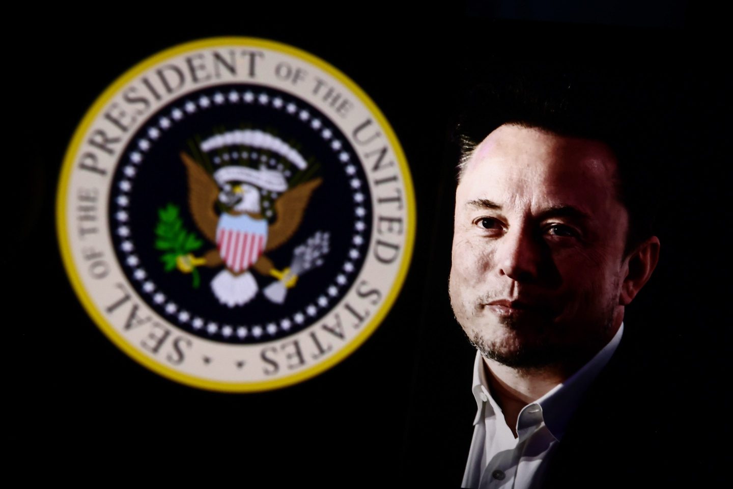Dogecoin Logo on Elon Musk’s Government Website: What Does This Mean for the Crypto World?