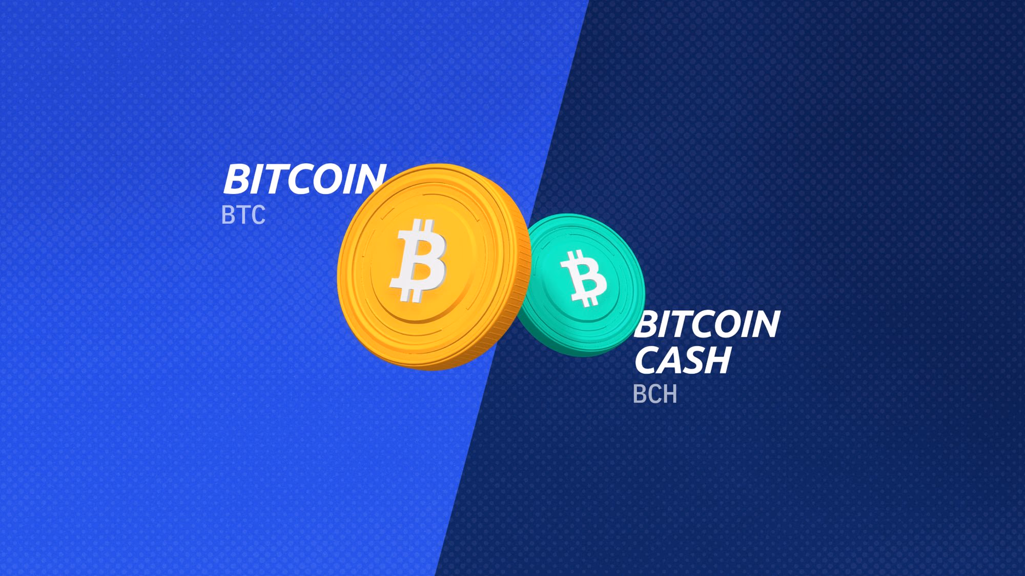 Bitcoin Cash on the Rise: Should You Choose BCH Over BTC?